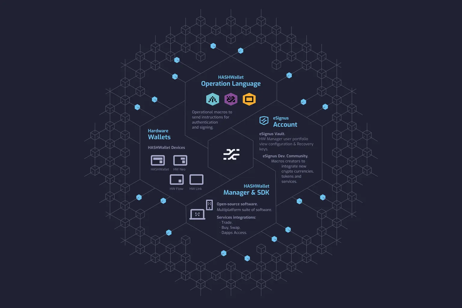 Ecosistema completo eSignus - Arquitectura de marca escalable para productos cripto